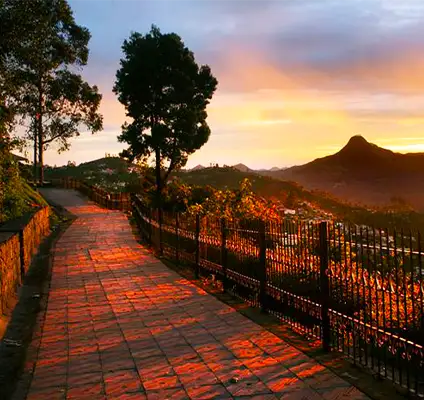 Coaker's Walk Kodaikanal