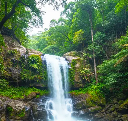 Pambar Falls Kodaikanal