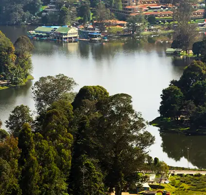 Kodaikanal Lake